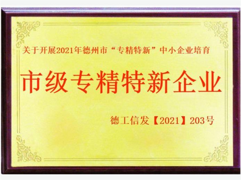 市級(jí)專精特新企業(yè)