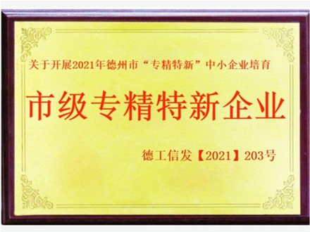 市級(jí)專精特新企業(yè)